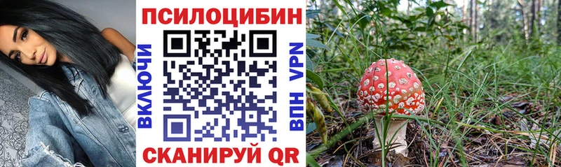 Псилоцибиновые грибы Psilocybe Старый Крым